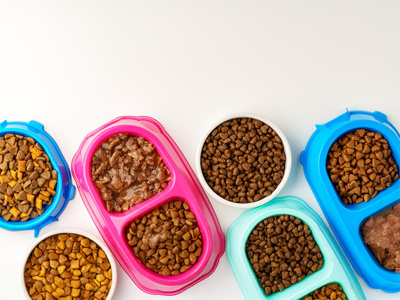 Dog & Cat Food and Treats
