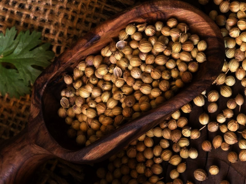 Coriander Seeds